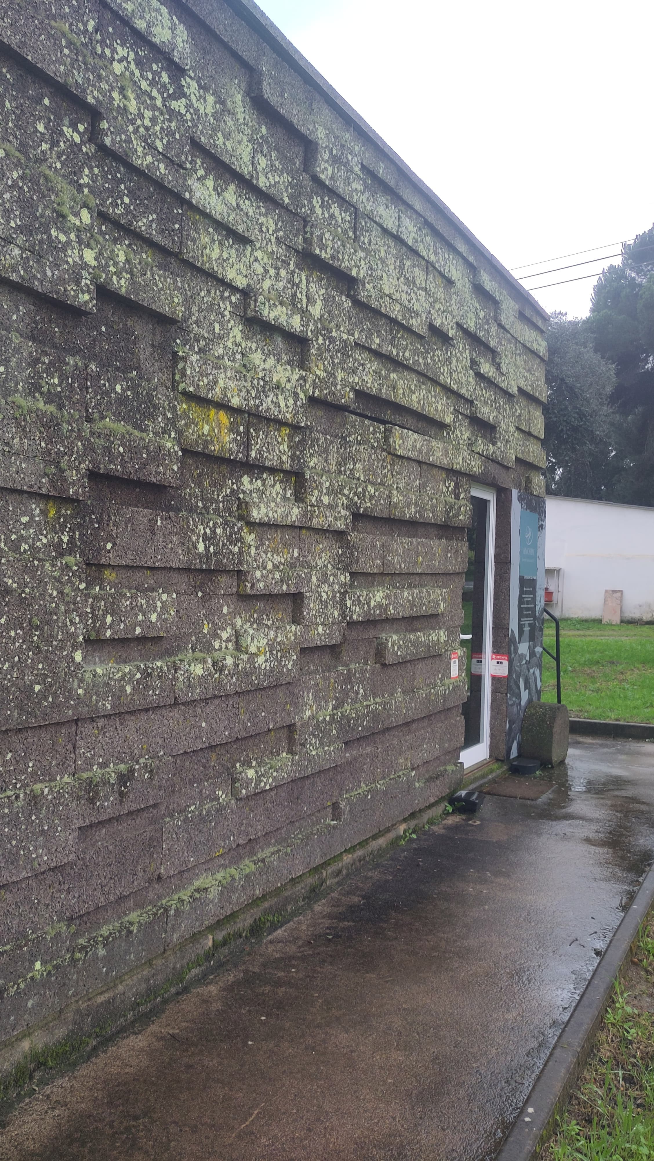 Donkere, geometrische muur met mosgroei en een witte deur aan een nat betonnen pad.